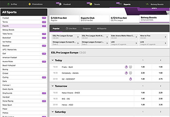 Betway interface example screenshot